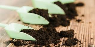 Pasalnya, pupuk ini mengandung berbagai unsur hara makro seperti nitrogen (n), posfor (p), kalium (k), kalsium (ca), magnesium (mg) dan belerang (s) yang dapat merangsang aktivitas biologi tanah. 5 Jenis Pupuk Untuk Tanaman Berbuah Popmama Com