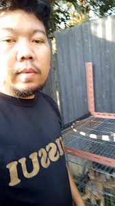 iguana jadi boldog #iguana #anjingbuldog#fyp