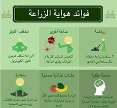 فوائد هواية الزراعة الصحية والنفسية Garden Pavers Incoming Call Screenshot Learning