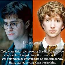 Somewhere in the multiverse, Ted Lupin grew up with his parents 😭😭