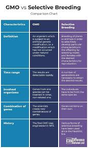 gmo definition biology buildingplate zhnm com