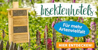 Gärtner pötschke insolvenz / düsseldorf: Gartner Potschke Insolvenz Potschke Gartencenter Fortfuhrungslosung Gabot De Gartner Potschke Gartencenter Gmbh Co Perrine Giroux