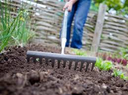 Nutzgarten Die Besten Tipps Im Februar Pflanzen Gartenarbeit Garten