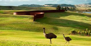 Te Tuhirangi Contour 1999 2001 Richard Serra Richard Serra Land Art Peyzaj Duzenlemesi Fikirleri