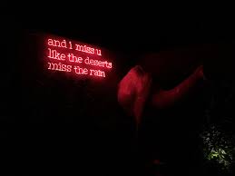 Deutsch translation of song within a song by camel. 5238236 4032x3024 Sign Message Dark Wall Camel Free Images Night Song Lyrics Light Neon Red Evening Stuffed Animal Miss Cool Wallpapers For Me