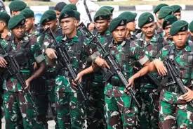 Mengenal TNI, Struktur, dan Jalur Karier Sejak Awal