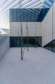 Tout sur ricardo miguel ribeiro ferreira : Edp Headquarters