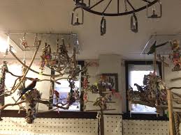Great Idea Of Hanging Multiple Play Gyms And Perches From The Ceiling Image Natural Inspirations Parrot Cages