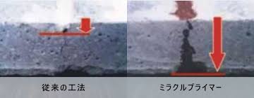 「ミラクルプライマー」の画像検索結果