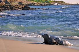 The Best Things To See And Do In San Diego California