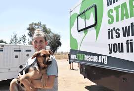 We will also deliver your pet to any nationwide has been a life saver and a blessing. Shelter Transport Animal Rescue Team Start Rescue