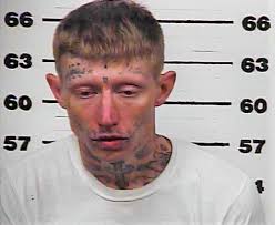 Hawkins Police Blotter: Suspects fleeing in stolen car escape after crash