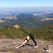 Downward Facing Dog Adho Mukha Svanasana Yoga Practice Yoga Downward Facing Dog