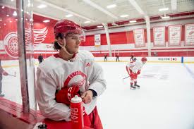 After lost season, Dylan James rebounds into being Detroit Red Wings draft  pick