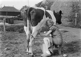 dutch lady milk industries berhad (dutch lady malaysia). memperkenalkan dutch lady sejak turun temurun kami di dutch lady milk industries mempunyai komitmen untuk membekalkan produk tenusu dan produk. Alasan Dutch Lady Identik Dengan Pemerah Susu Dalam Iklan Iklan Okezone Lifestyle