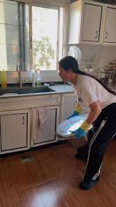 Delicious Lebanese Stuffed Grape Leaves Recipe