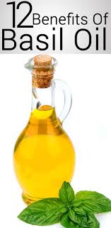 Many people include basil leaves in their cooking to improve their health while others consider basil leaves as excellent remedies for many skin problems. 12 Amazing Benefits Of Basil Tulsi Oil For Skin And Hair Oils For Skin Benefits Of Basil Basil Oil