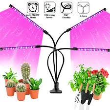Check spelling or type a new query. Led Grow Lights For Indoor Plants Jueyingbaili 80w Full Spectrum Plant Lights With Auto On Off 3 Grow Lights For Plants Led Grow Lights Plants Plant Lighting