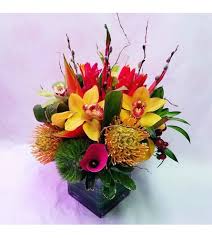 Maybe you would like to learn more about one of these? Tropical Delight New York Ny Florist