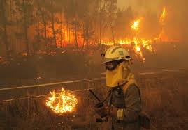 We did not find results for: La Ciudadania Debe Implicarse En La Prevencion De Los Incendios Forestales