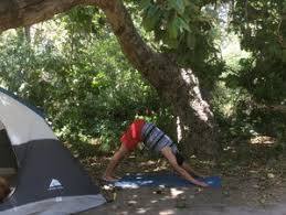 Maybe you would like to learn more about one of these? 4 Days Outside In Yoga Retreat In Portola Redwoods California Bookyogaretreats Com