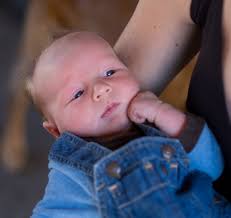 Jack's First Camping Trip