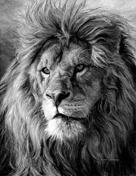 Black And White Lion Tattoo Ideas Tattoo Lion King Leo 20 Ideas For 2019 Tattoo In 2020 Lion Head Tattoos Lion Tattoo Lion Pictures
