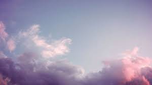 20 Aesthetic Zoom Backgrounds From Art Films Tumblr And More Syrup Next to your profile picture is your display name. 20 aesthetic zoom backgrounds from art