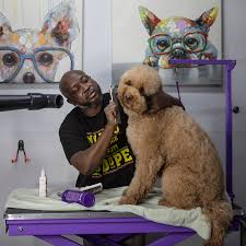Maybe you would like to learn more about one of these? How The Owner Of A Doggie Day Spa Spends His Sundays The New York Times