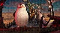 Find gifs with the latest and newest hashtags! Yarn Kowalski Status Report Penguins Of Madagascar 2014 Video Gifs By Quotes 1e1ee6e3 ç´—