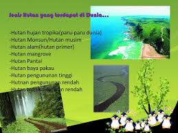 Ketika itu, semua benda besar seperti pokok atau batu yang besar dianggap didiami penunggu atau tunggu yang perlu dihormati dengan baik. Kepupusan Flora Flauna Ppt Download