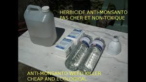 Astuce Jardin Desherbant Bio Bon Marche Et Naturel Cheap And Ecological Weed Killer Monsanto Free Youtube
