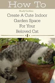 How to make an indoor edible cat garden for cats. How To Create A Cute Indoor Garden Space For Your Beloved Cat Ready Gardens By Ready Nutrition