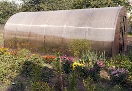 Check spelling or type a new query. Growing In A Polytunnel In September Allotment Gardens