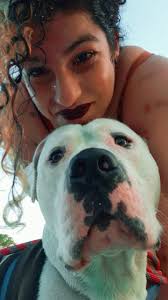 Found blue pitbull near Meineke car shop