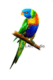 Rainbow Lorikeet A Difficult Bird To Draw Due To Its Wide Range Of Colourful Feathers It S Hard To Believe The B Pictures To Draw Colorful Feathers Drawings