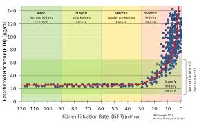 secondary hyperparathyroidism diagnosis causes and treatment