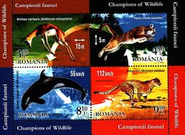 Am gîndit ca un ghepard, am creat ca un ghepard şi am fost aşteptat să mă manifest, în sfîrşit, ca un ghepard. Wildkatzen Raubkatzen Wildkatzen Seite 24 Stampworld Briefmarken Online Shop Gero Gonser