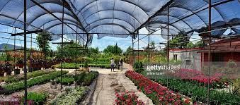 Il nature gardens beautify gorgeous castles and villas in united kingdom, france, germany and russia. Panoramic View Of Open Green House With Shade For Growing Flowers And Greenhouse Growing Flowers Panoramic Views
