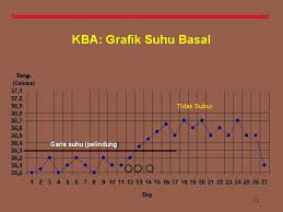 Anda bisa mengukur suhu basal tubuh dengan termometer khusus. Keluarga Berencana Alamiah Kba Pelatihan Teknologi Kontrasepsi Terkini
