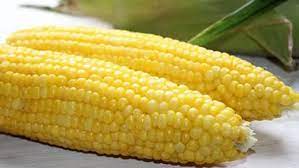 Kulit buah jagung dapat dikupas sebagian untuk menghilangkan sebagian kulitnya sehingga. Agar Jagung Rebus Lebih Manis Begini Cara Memasaknya Lifestyle Fimela Com