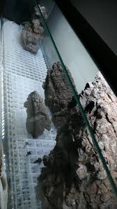Smart Idea Eggcrate Under Rocks Keeps Rock Weigh Dispersed And Substrate In Place Nature Aquarium Aquarium Design Planted Aquarium