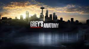Mode cinéma tous les liens streaming et telechargement. 16x5 Grey S Anatomy Saison 16 Episode 5 Streaming Vostfr Hd By Sherly Nerissa Medium