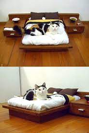 kedi severlerin bayilacagi 17 muthis mobilya evcil hayvan urunleri hayvan odasi kopek yataklari