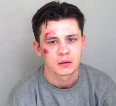 Jailed in Essex: The shocking stories of the 68 criminals put behind bars  during lockdown