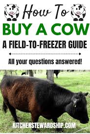 We did not find results for: Getting Beef From Field To Freezer Your Guide To Buying A Cow