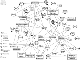 Distinguishing And Phenotype Monitoring Of Traumatic Brain