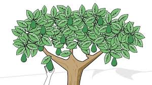 How To Plant An Avocado Tree With Pictures Wikihow