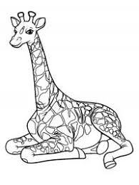 A giraffe as a carpenter. Giraffe Head Coloring Page 1001coloring Com