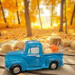 Fall Vintage Truck Workshop event image